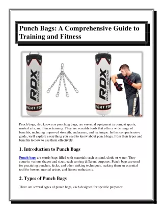 Punch Bags A Comprehensive Guide to Training and Fitness