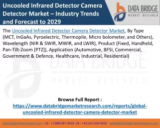 Uncooled Infrared Detector Camera Detector Market