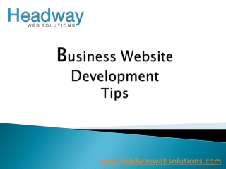 Business website development