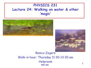 PHYSICS 231 Lecture 24: Walking on water &amp; other ‘magic’