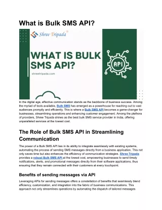 What is Bulk SMS API