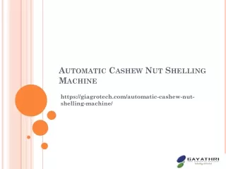 Raw Cashew Shelling Machine, Automatic Cashew Nut Cutting Machines Manufacturers