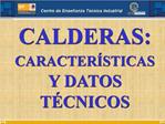 CALDERAS: CARACTER STICAS Y DATOS T CNICOS