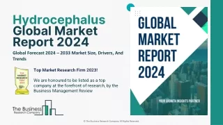 Hydrocephalus Market 2024 - By Size, Competitive Landscape, Upcoming Trends 2033