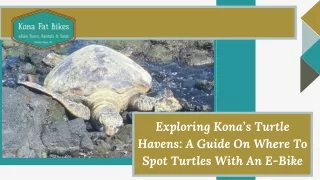 Exploring Kona’s Turtle Havens A Guide On Where To Spot Turtles With An E-Bike