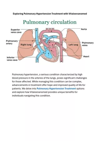 Exploring Pulmonary Hypertension Treatment with Vitaleenanomed