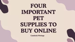 Four Important Pet Supplies To Buy Online