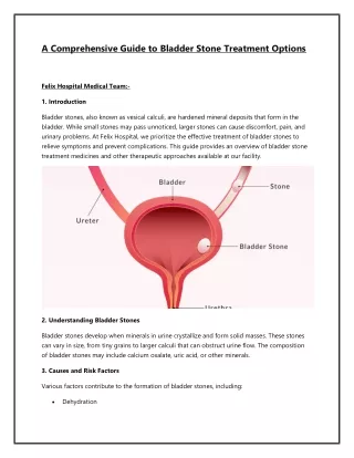 Bladder stone treatment medicine