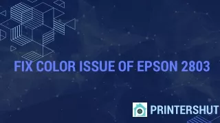 Printershut | Fix Color Issue of Epson 2803