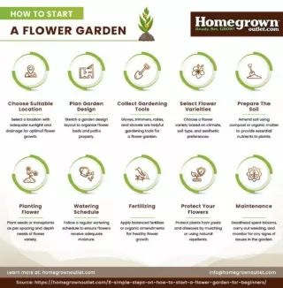 How to Start a Flower Garden?