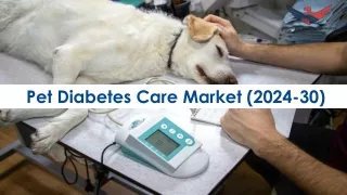 Pet Diabetes Care Market Size, Forecasting and Growth Opportunities for 2024–203