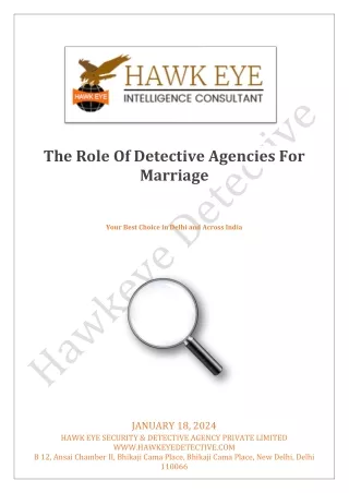 hawk-eye-security-detective-agency-where-trust-meets-expertise[1]