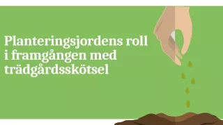 Planteringsjordens Roll i Framgången Med Trädgårdsskötsel