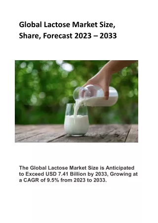 Global Lactose Market