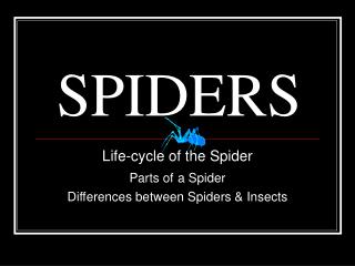 SPIDERS