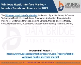 Windows Haptic Interface Market
