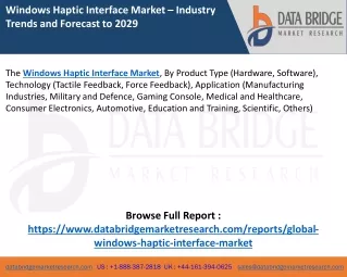 Windows Haptic Interface Market