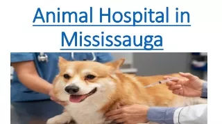 Animal Hospital in Mississauga