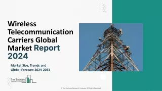 Wireless Telecommunication Carriers Market Share, Growth Insights, Overview 2033