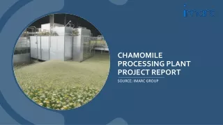 Chamomile Processing Plant Project Report 2024