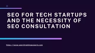 SEO for Tech Startups and the Necessity of SEO Consultation