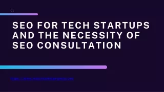 SEO for Tech Startups and the Necessity of SEO Consultation