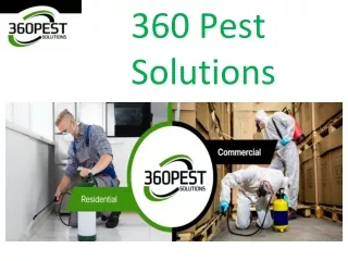 Pest Control Solutions Gold Coast