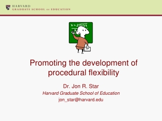 Promoting the development of procedural flexibility