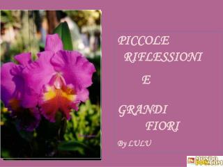 PICCOLE RIFLESSIONI E GRANDI FIORI By LULU
