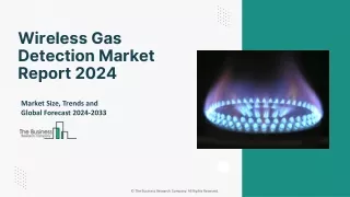 Wireless Gas Detection Market 2024 - By Size, Share, Trends, Growth Analysis