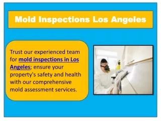 Mold Inspections Los Angeles