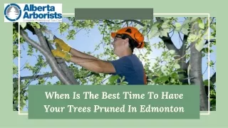 When Is The Best Time To Have Your Trees Pruned In Edmonton