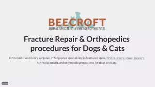 TPLO, Ear, Interventional Radiology, Fracture Repair & Orthopedics procedures for Dogs & Cats