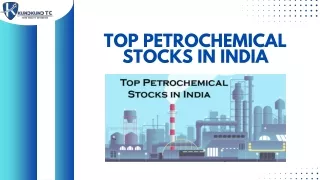 TOP PETROCHEMICAL STOCKS IN INDIA