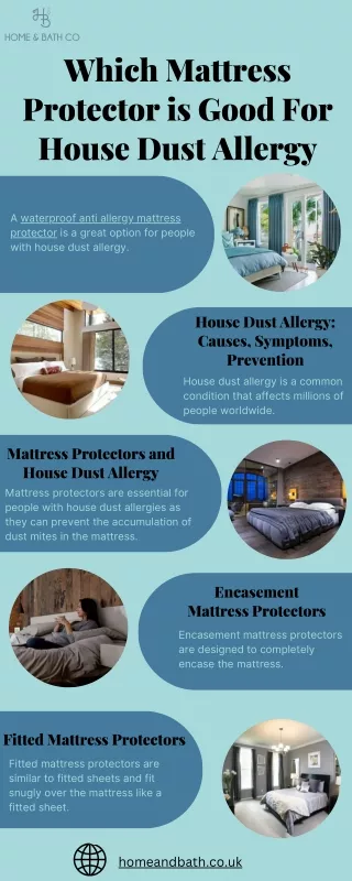 Which Mattress Protector is Good For House Dust Allergy