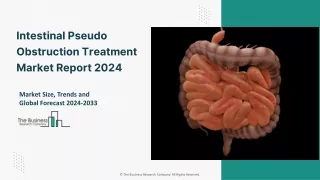 2024 Intestinal Pseudo Obstruction Treatment Market Size &Growth Report 2033