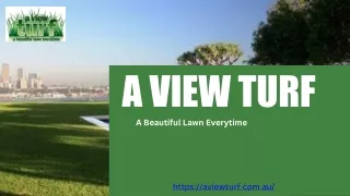 How To Aerate A Lawn For Better Airflow And Oxygen Supply?