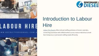 Finding The Reliable Labour Hire in Darwin