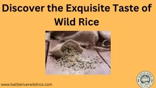 Wild Rice