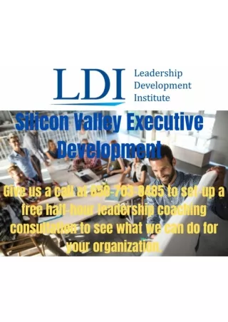 Silicon Valley Executive Development