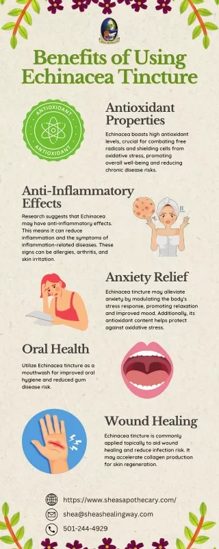 Benefits of Using Echinacea Tincture