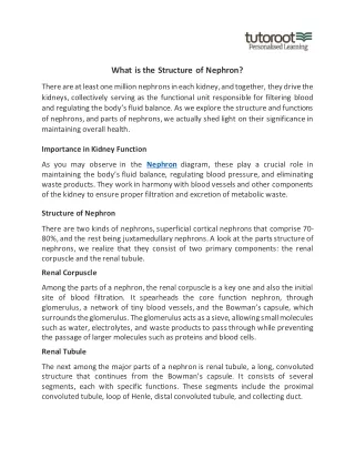 What is the Structure of Nephron?