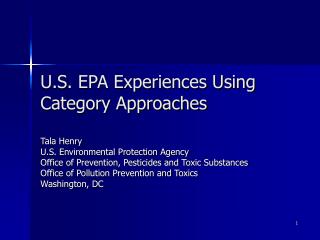 U.S. EPA Experiences Using Category Approaches