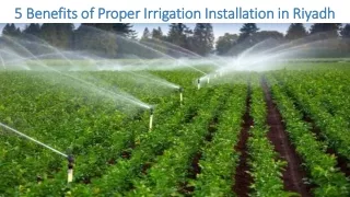 5 Benefits of Proper Irrigation Installation in Riyadh