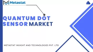 Quantum Dot Sensor Market Analysis, Size Trends| Forecasts 2031
