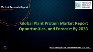 Plant Protein Market to Witness Widespread Expansion 2033