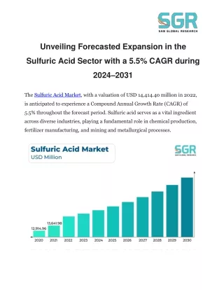 Unveiling Forecasted Expansion in the Sulfuric Acid Sector with a 5.5% CAGR