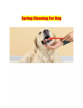 Spring Cleaning For Dog