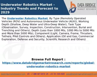 Underwater Robotics Market