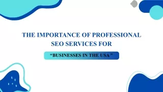 Unleashing the Power of Professional SEO Services for USA Businesses